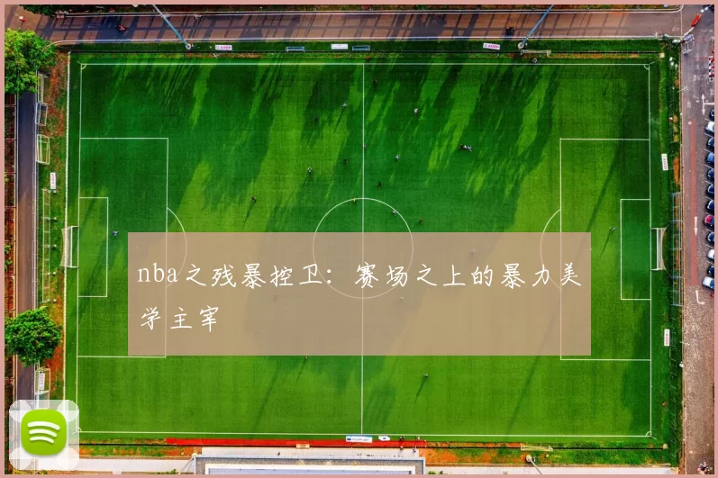 nba之残暴控卫：赛场之上的暴力美学主宰